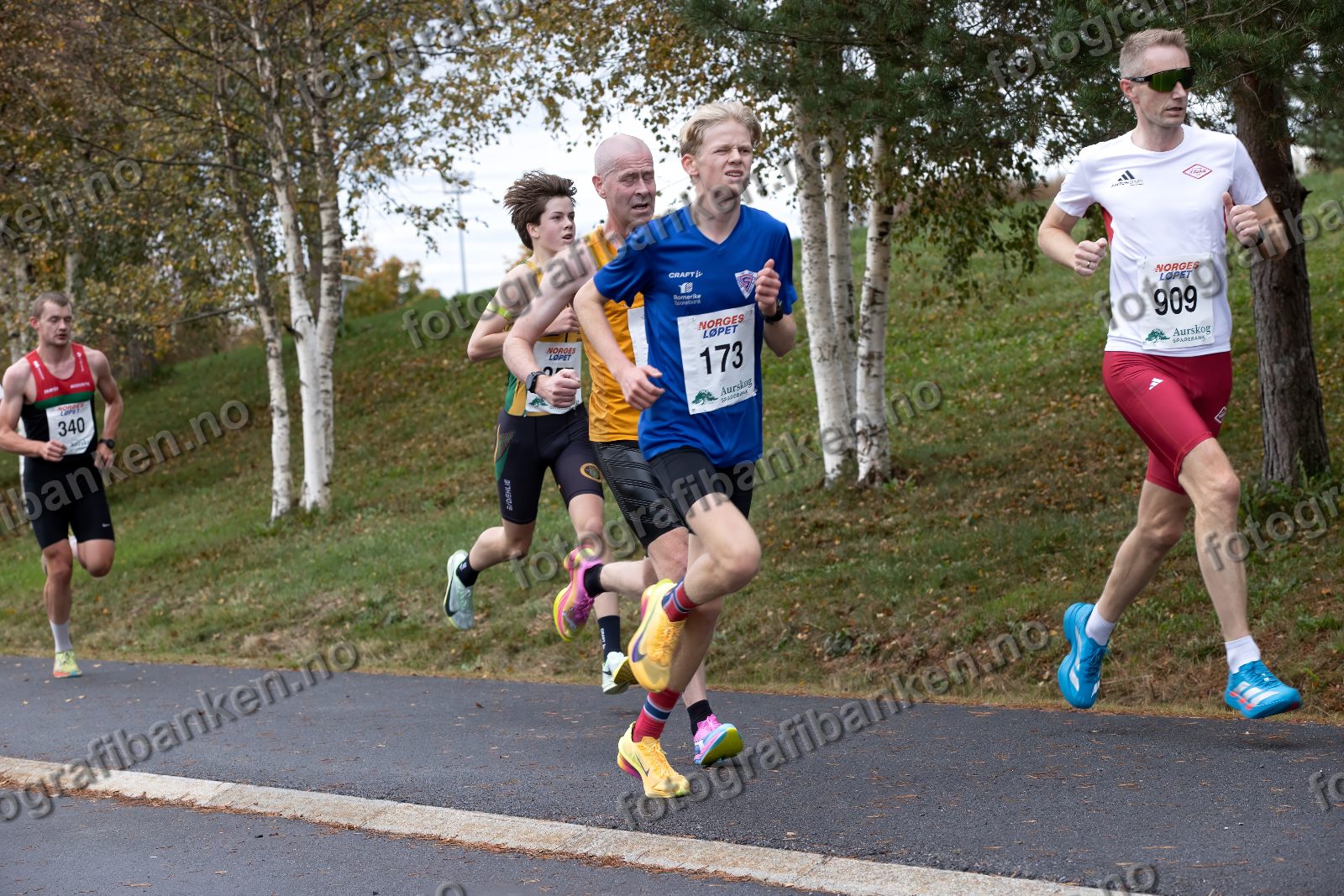 Terje Gulbrandsen (224) · Stig Lund Mauseth (173) · Roger Thompson (909)