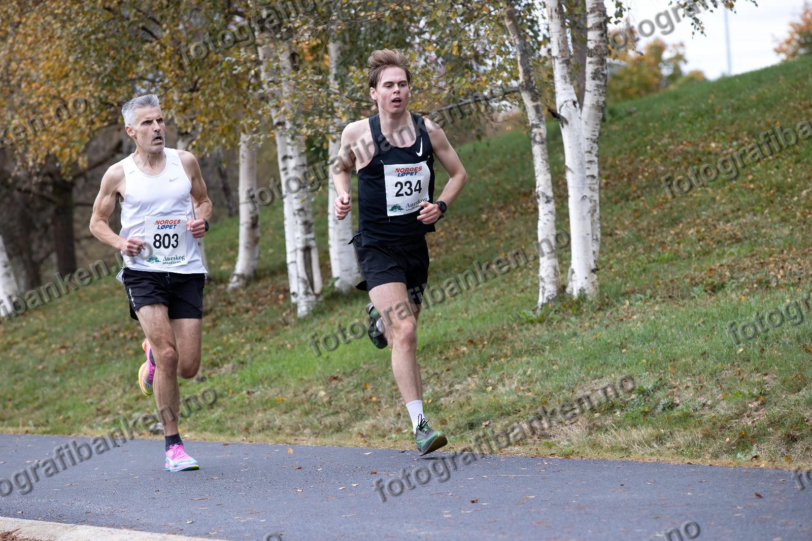 Børge Andreassen (803) · Erlend Homble (234)