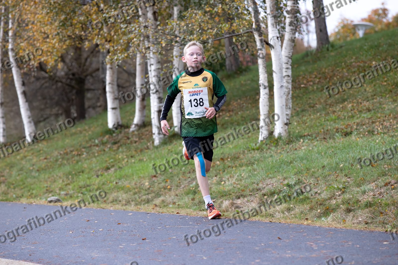Iver Leren (138)