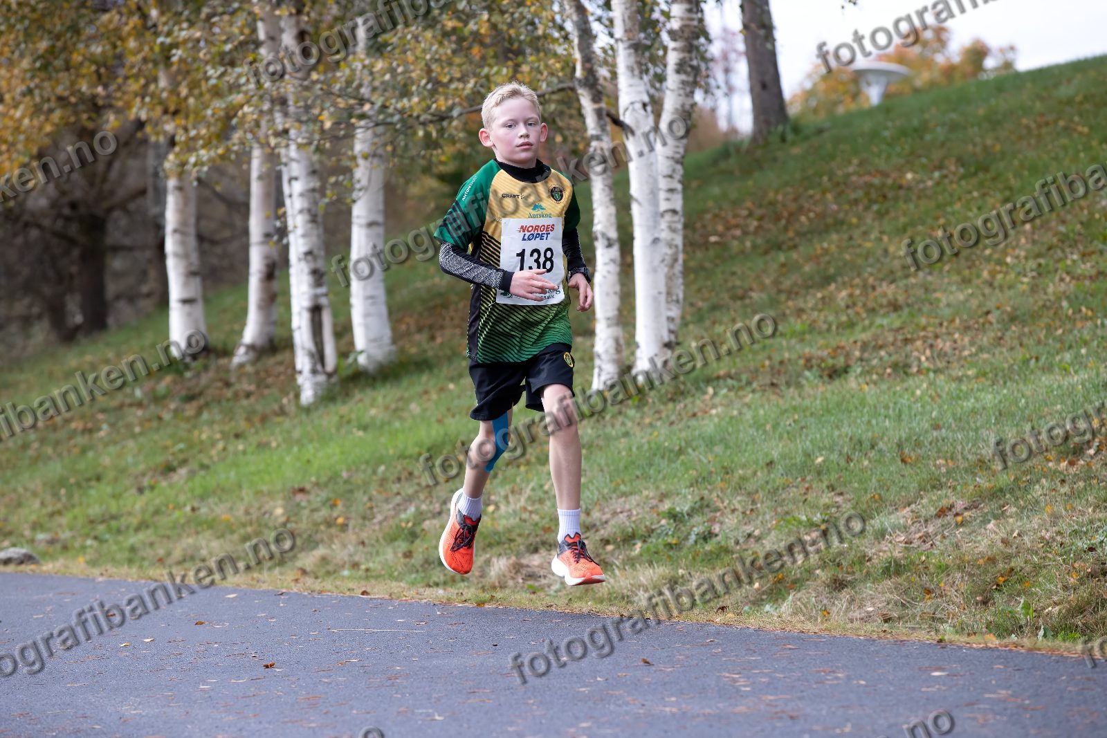 Iver Leren (138)