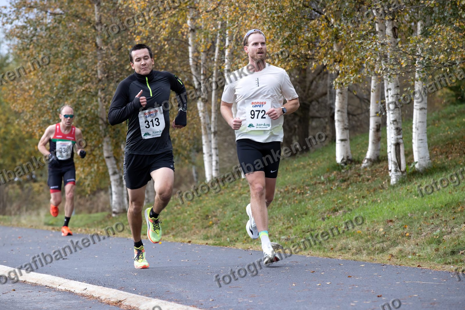 Joakim Fjellvang-Wenstøp (313) · Svein Lier (972)