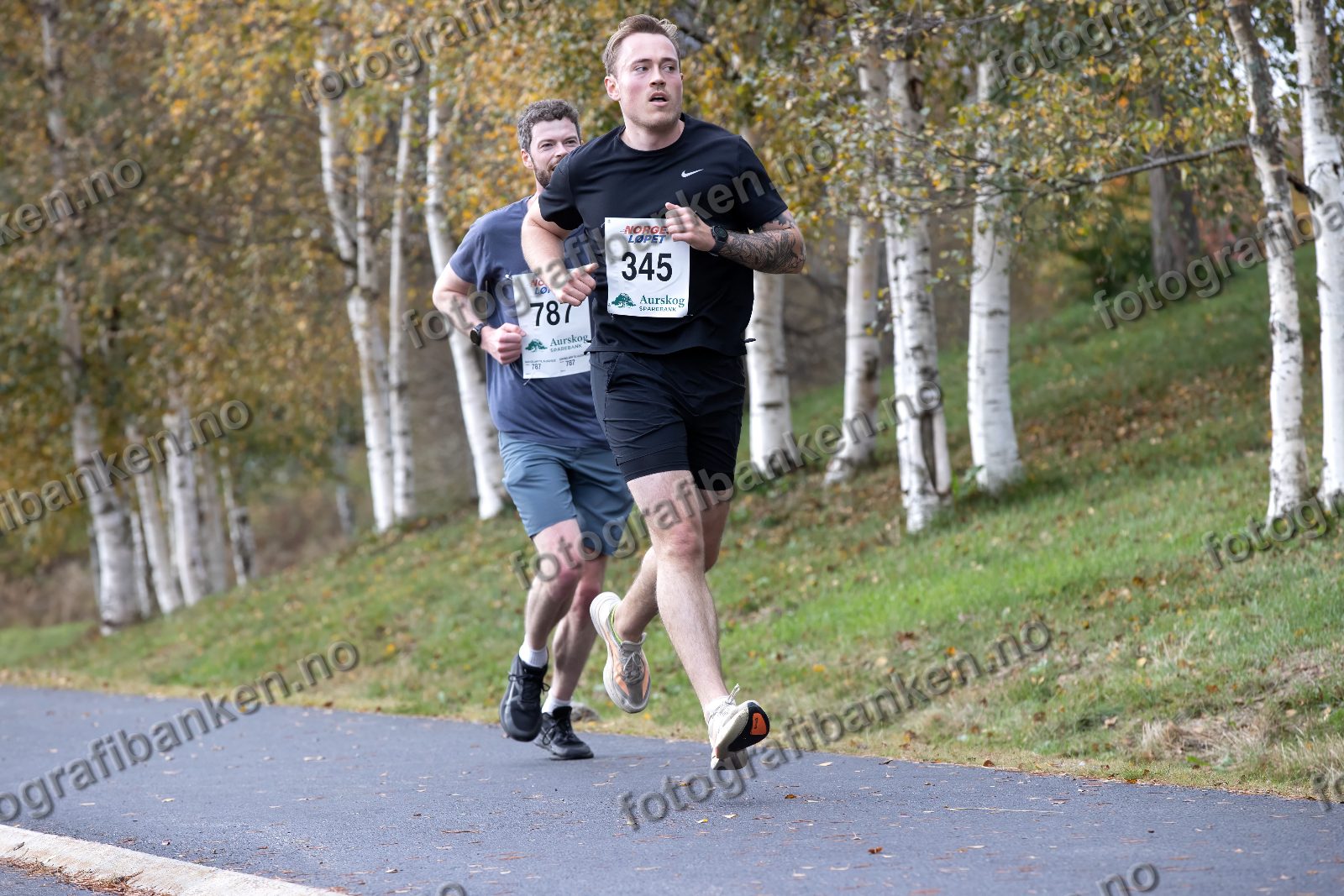 Theodor Secanell Holstad (787) · Georg Meier (345)