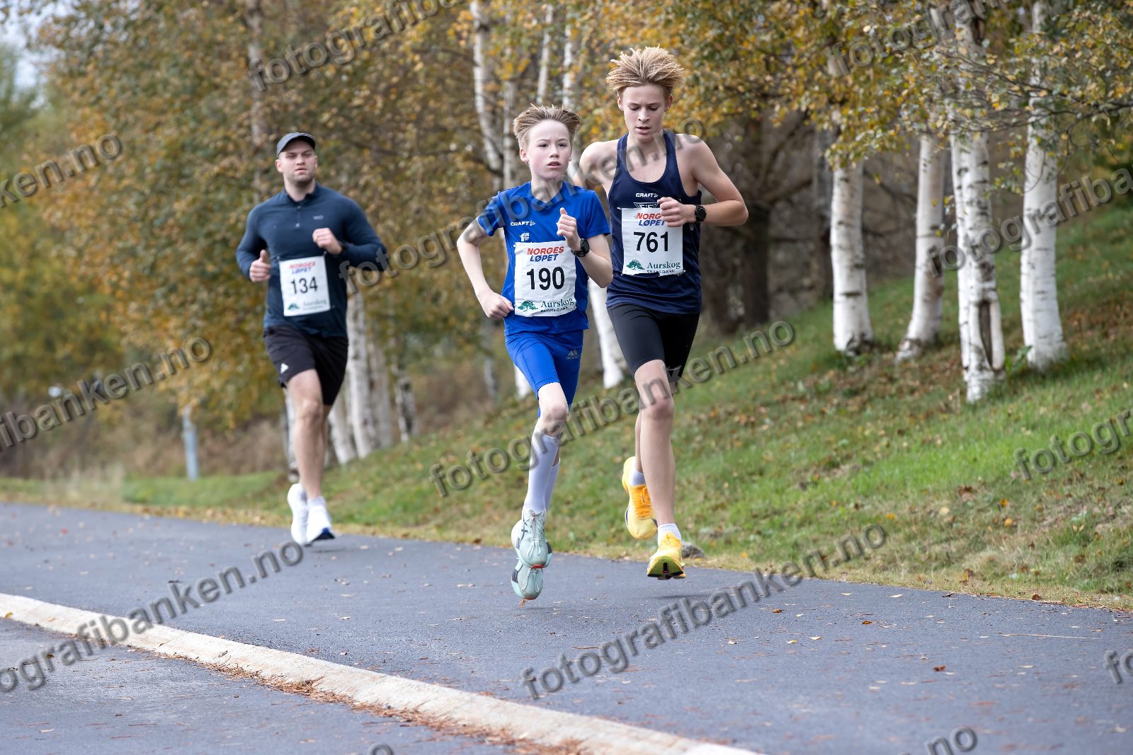 Petter Ihlebæk (134) · Oliver Sveinall (190) · Håvard Harstad (761)