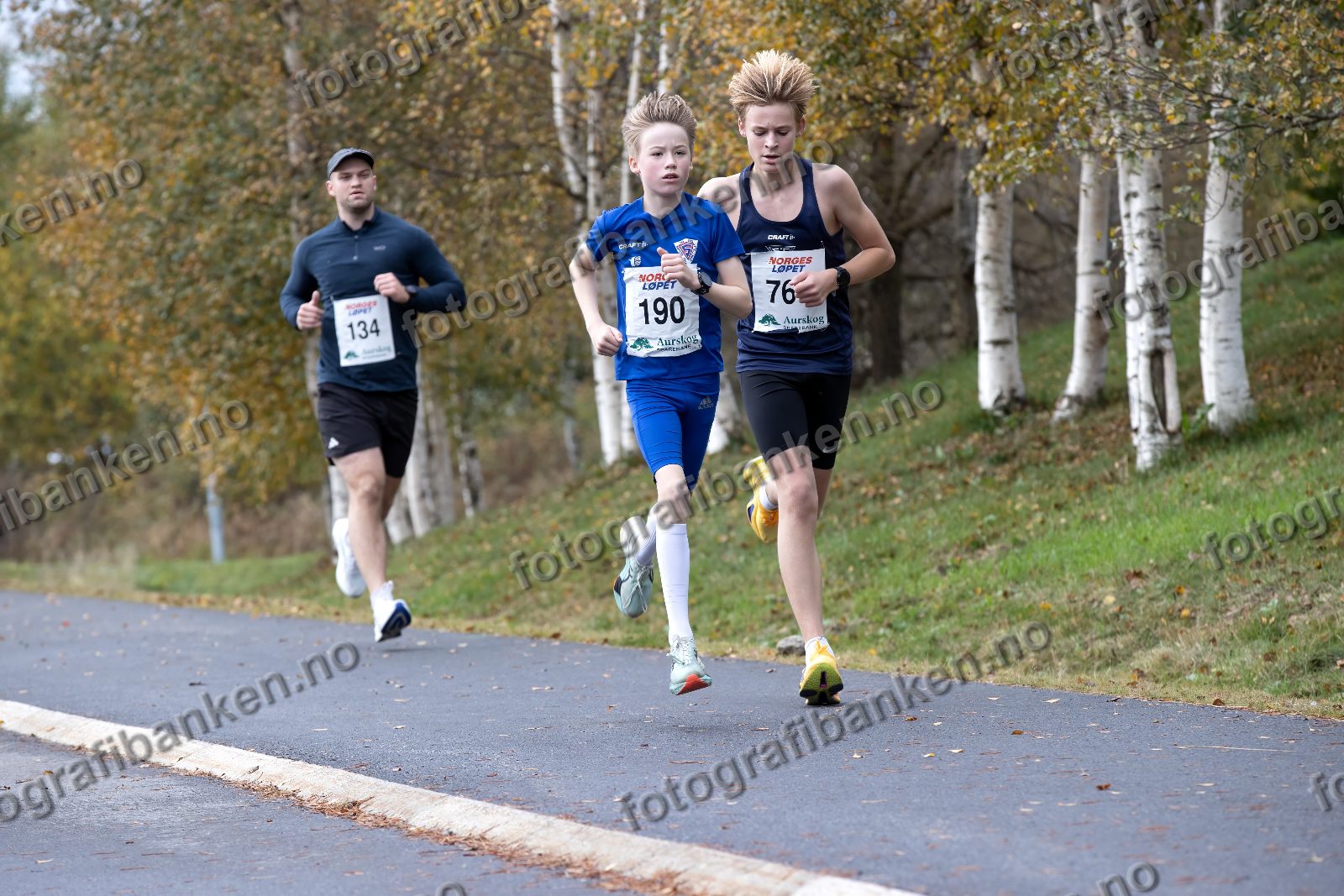 Petter Ihlebæk (134) · Oliver Sveinall (190) · Håvard Harstad (761)