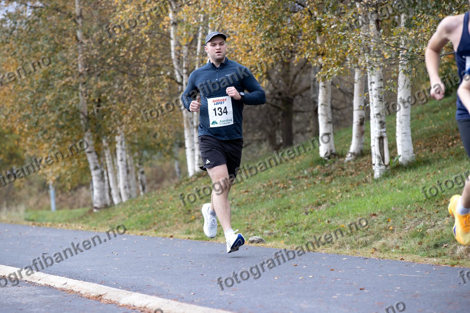 Petter Ihlebæk (134)