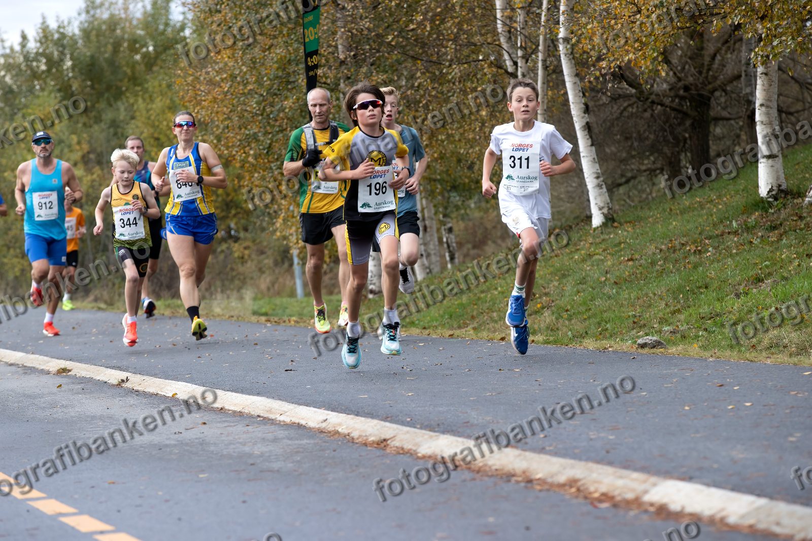 Edvard Andreassen (196) · Jann Post (912) · Syver Post (344) · Anna Wollebæk (840) · Leonan Fredenfeldt (311)