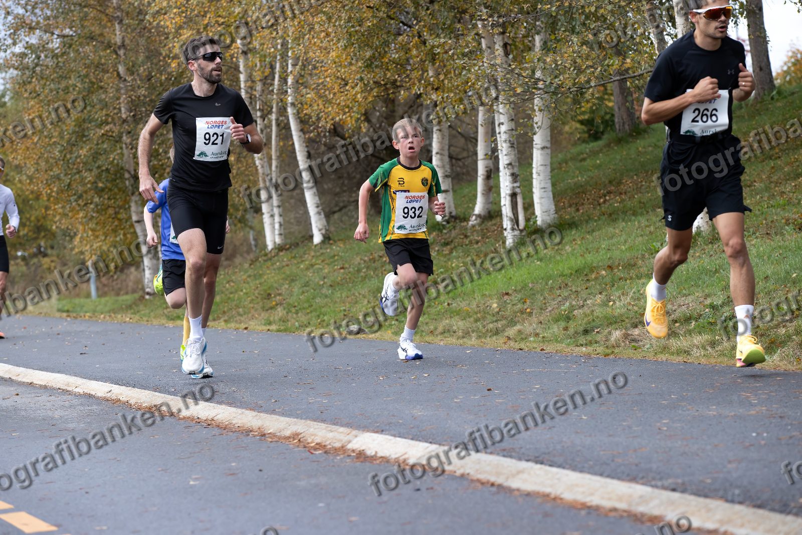 Robin Mackenzie-Robinson (921) · Thomas Fredvang (932) · Gustav Andre Jansson (266)