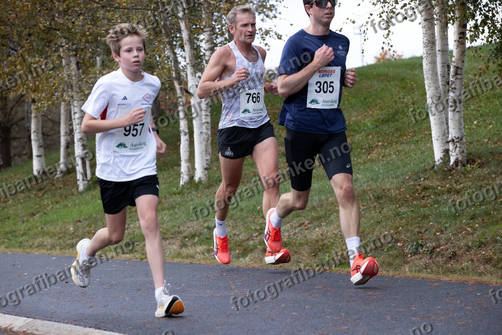 Magnus Bækkevar Semb (957) · Aage Hagen (766) · Roar Holter (305)
