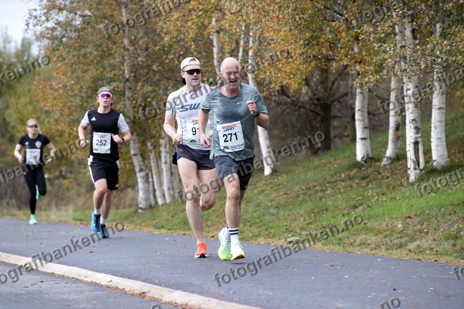 Runar Homble (271) · Kristian August Krogstad-Hansen (252)