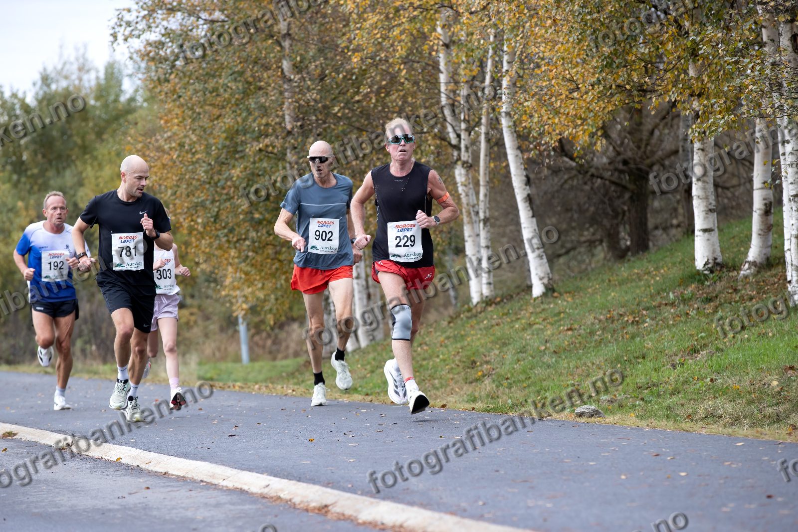 Roger Christiansen (192) · Arne Christiansen Post (781) · Henning Grøndalen (902) · Jan Monsrud (229)
