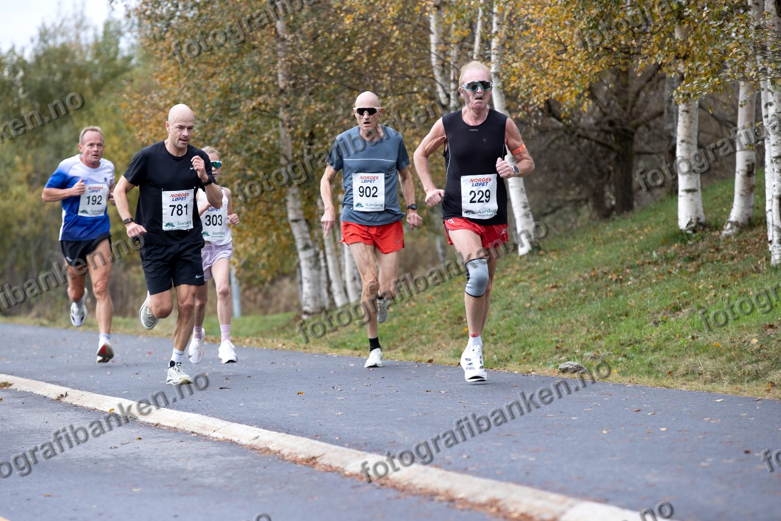 Jan Monsrud (229) · Roger Christiansen (192) · Arne Christiansen Post (781) · Henning Grøndalen (902)