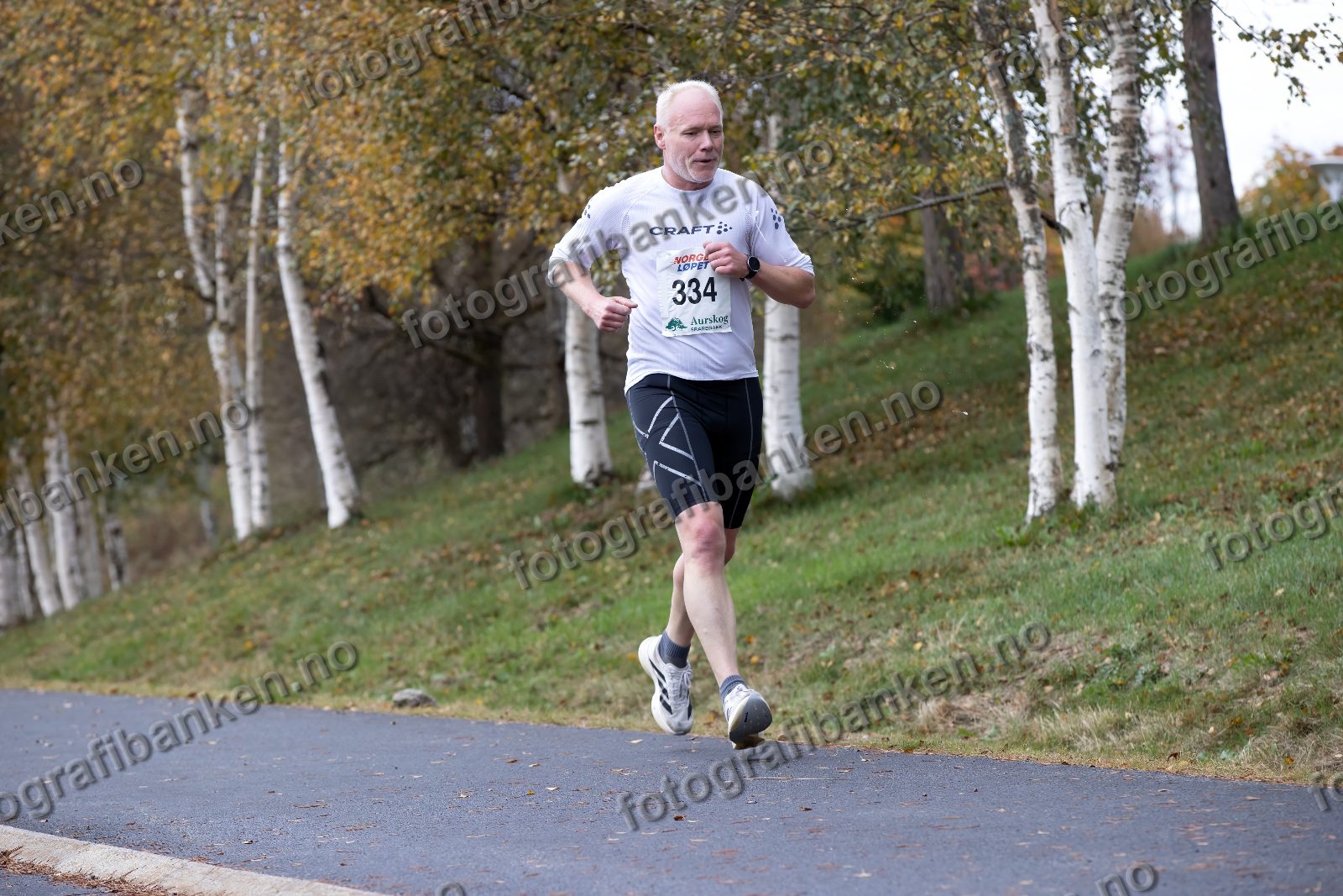 Magne Vårvik (334)
