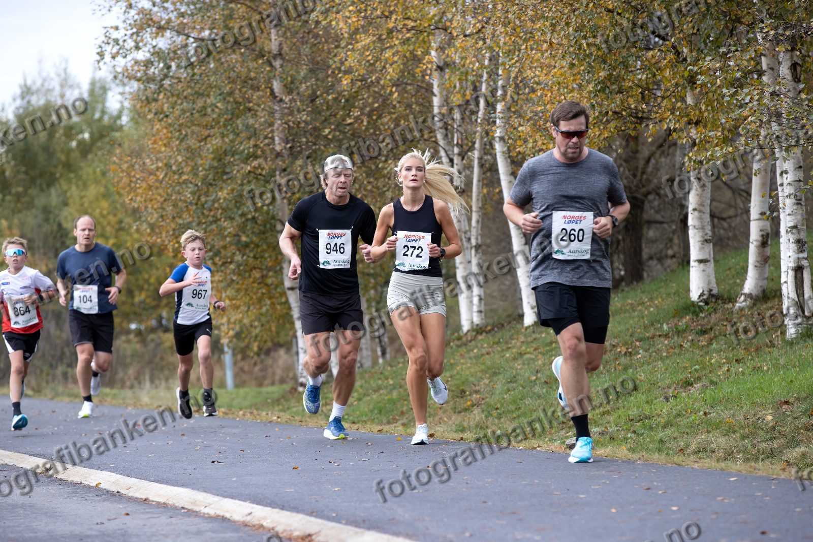 Kjetil Hansen (260) · Frans Mælen-Ødegaard (967) · Tommy Andersen (946) · Natalie Nordbeck Jøransen (272)