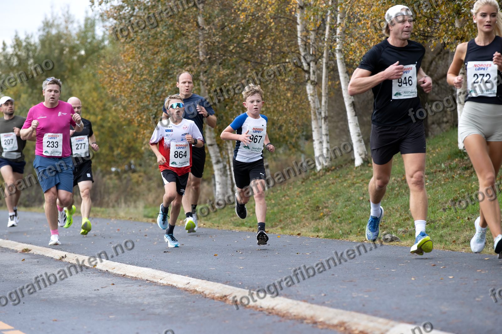 Fredrik Vogt (233) · Iver Drognes Wehinger (864) · Frans Mælen-Ødegaard (967) · Tommy Andersen (946)