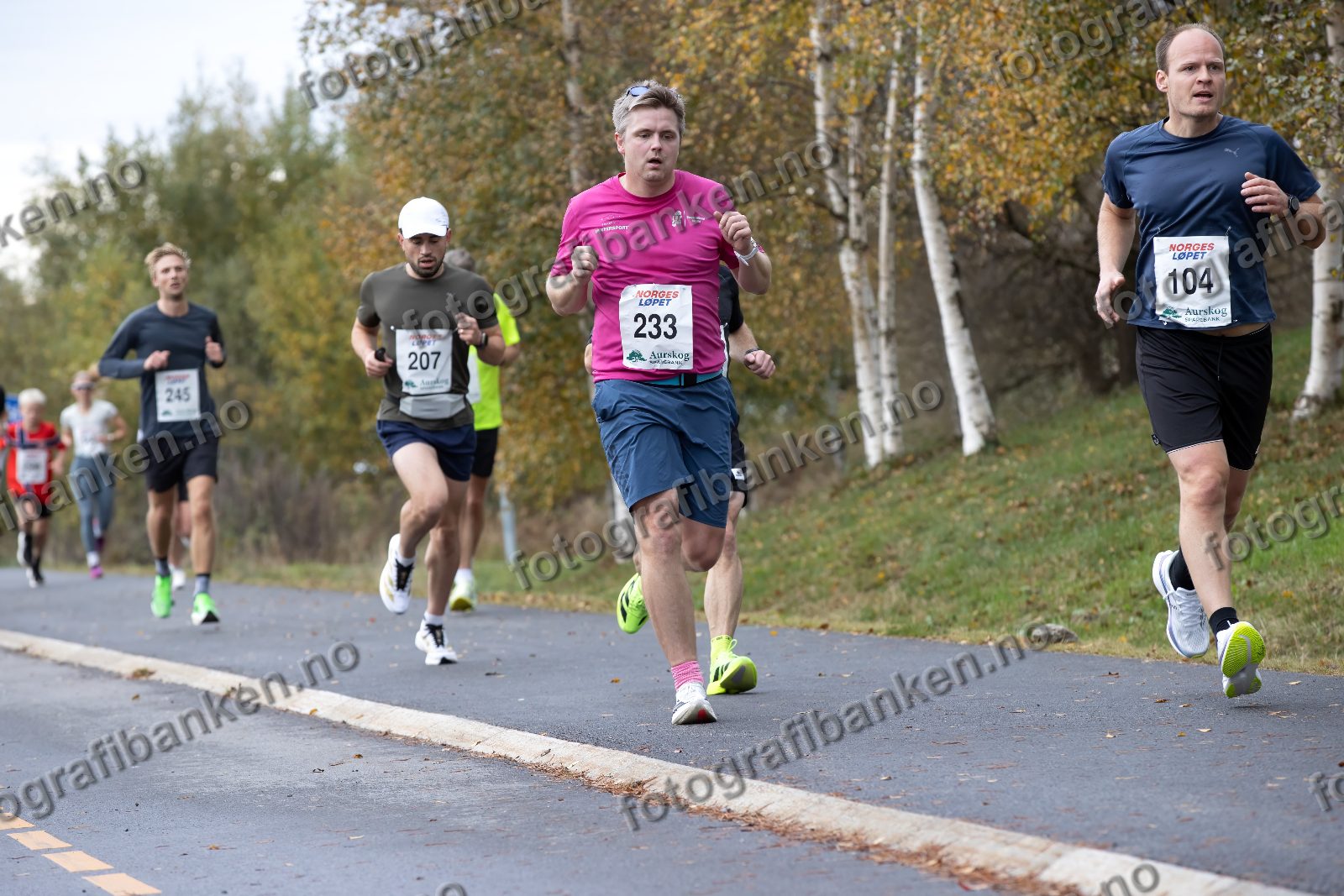 Fredrik Vogt (233) · Mads Nordby (245) · Hamid Rahimi (207) · Erling Alme (104)