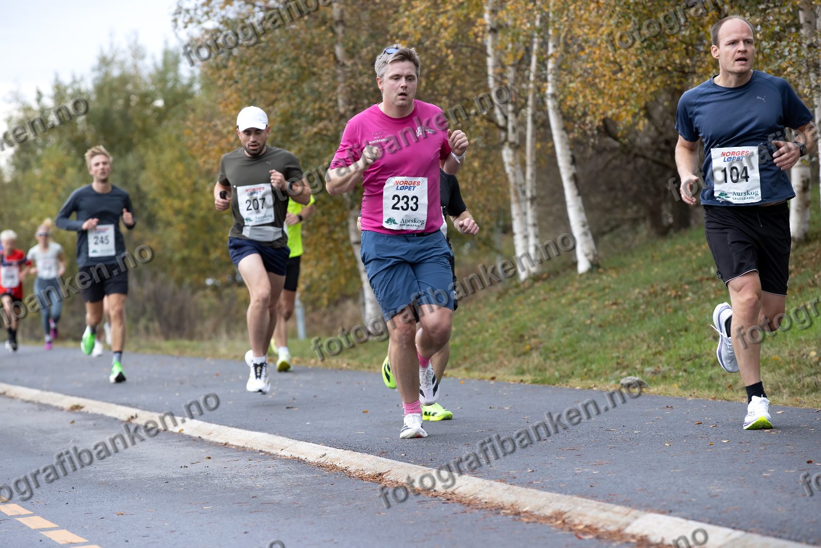 Fredrik Vogt (233) · Mads Nordby (245) · Hamid Rahimi (207) · Erling Alme (104)
