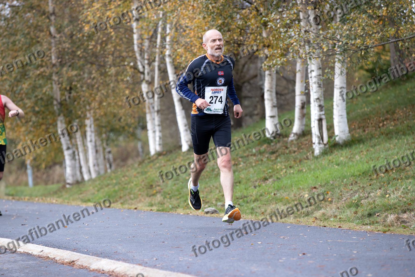 Per Havik Meier (274)