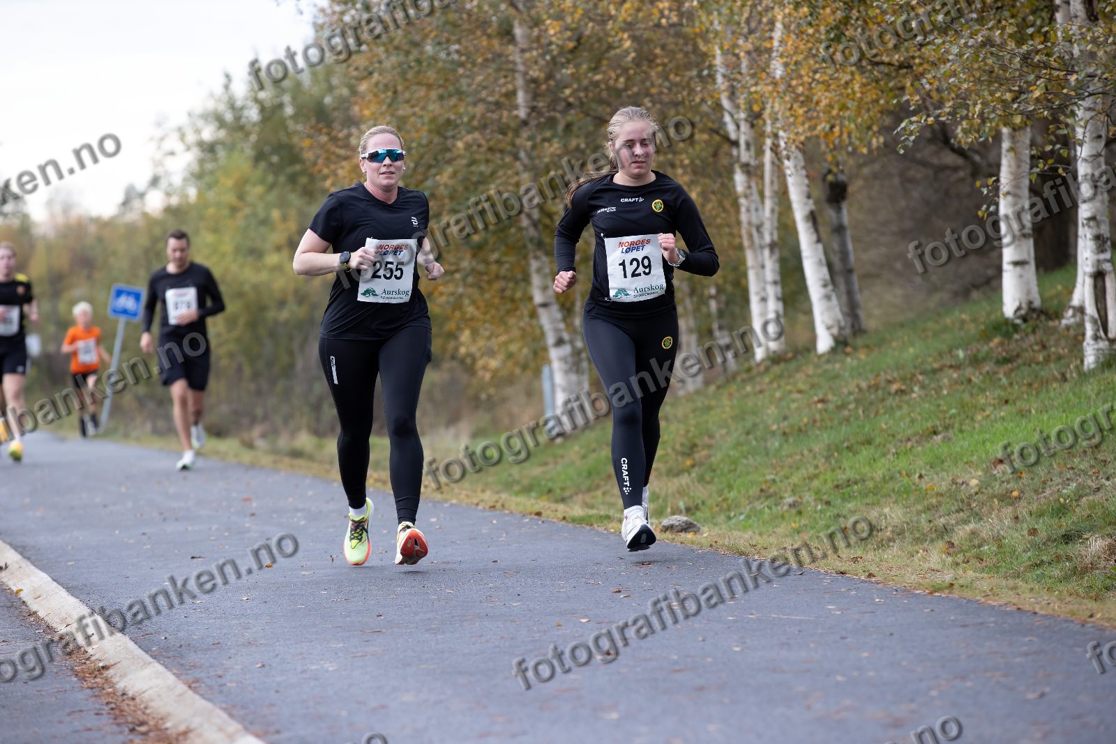 Linn Brenden Johansen (255) · Sigrid Eileraas (129)
