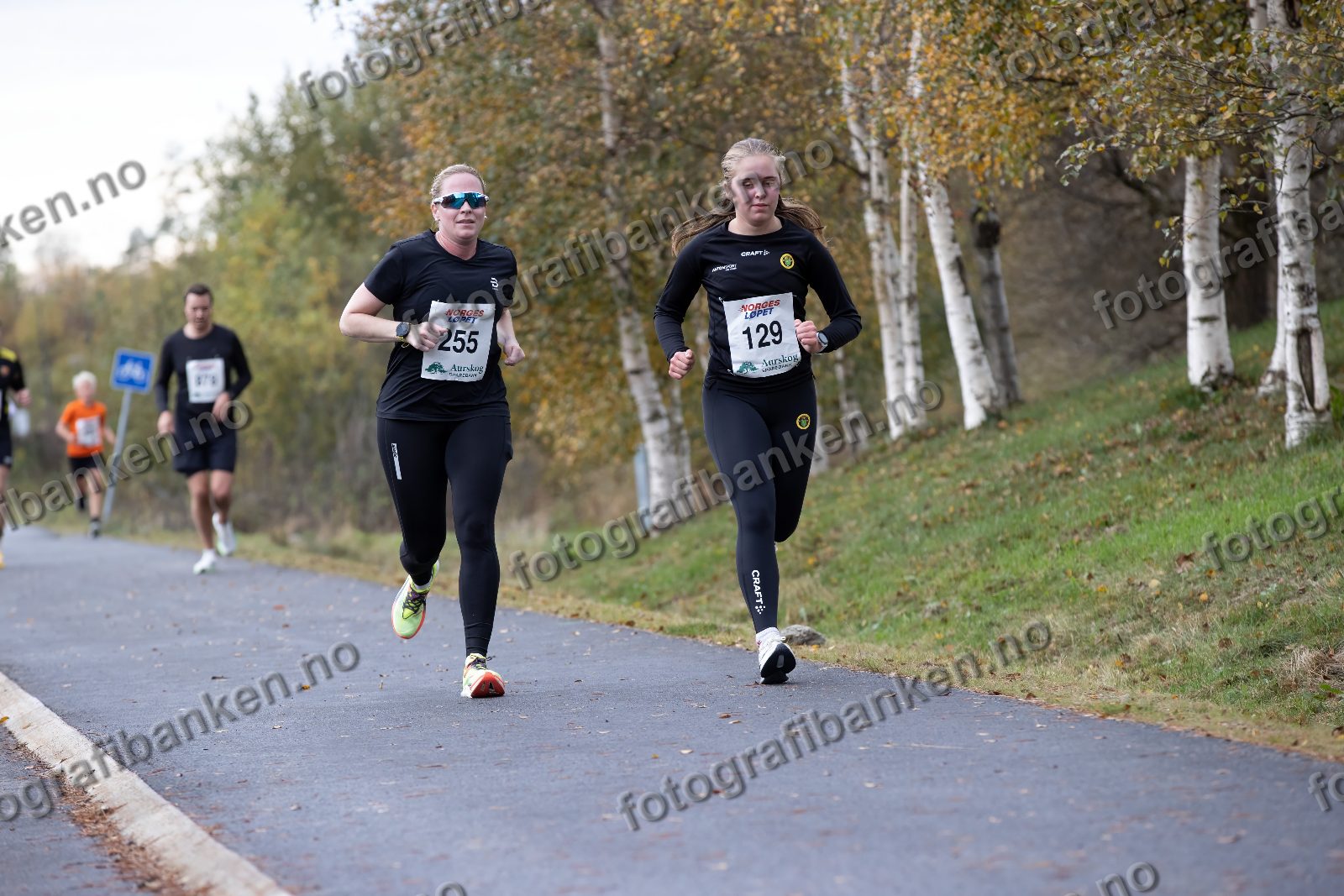 Linn Brenden Johansen (255) · Sigrid Eileraas (129)