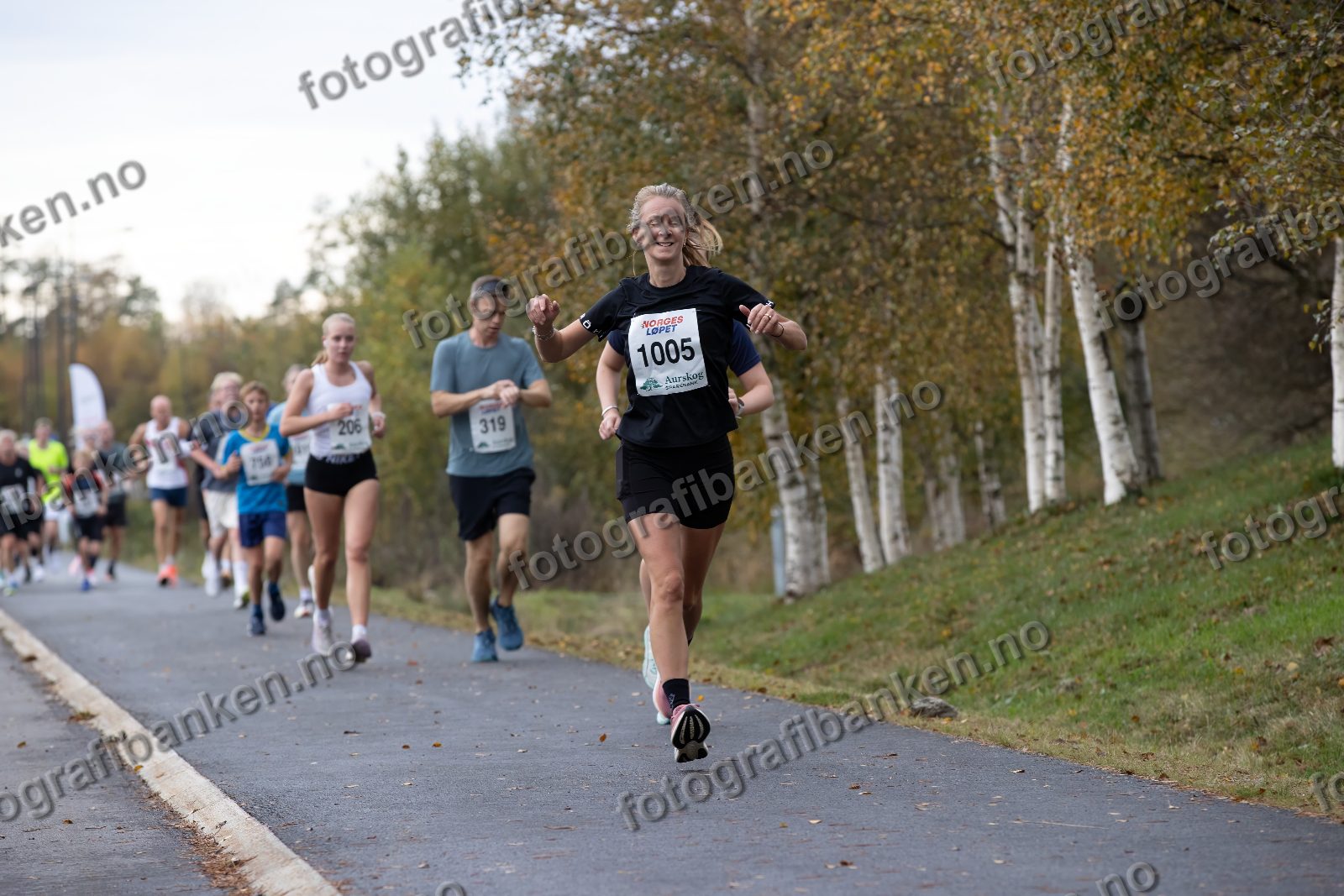 Emma Arvidsson (1005) · Nora Ellingsen (206) · Stig Vervik Ellingsen (319)