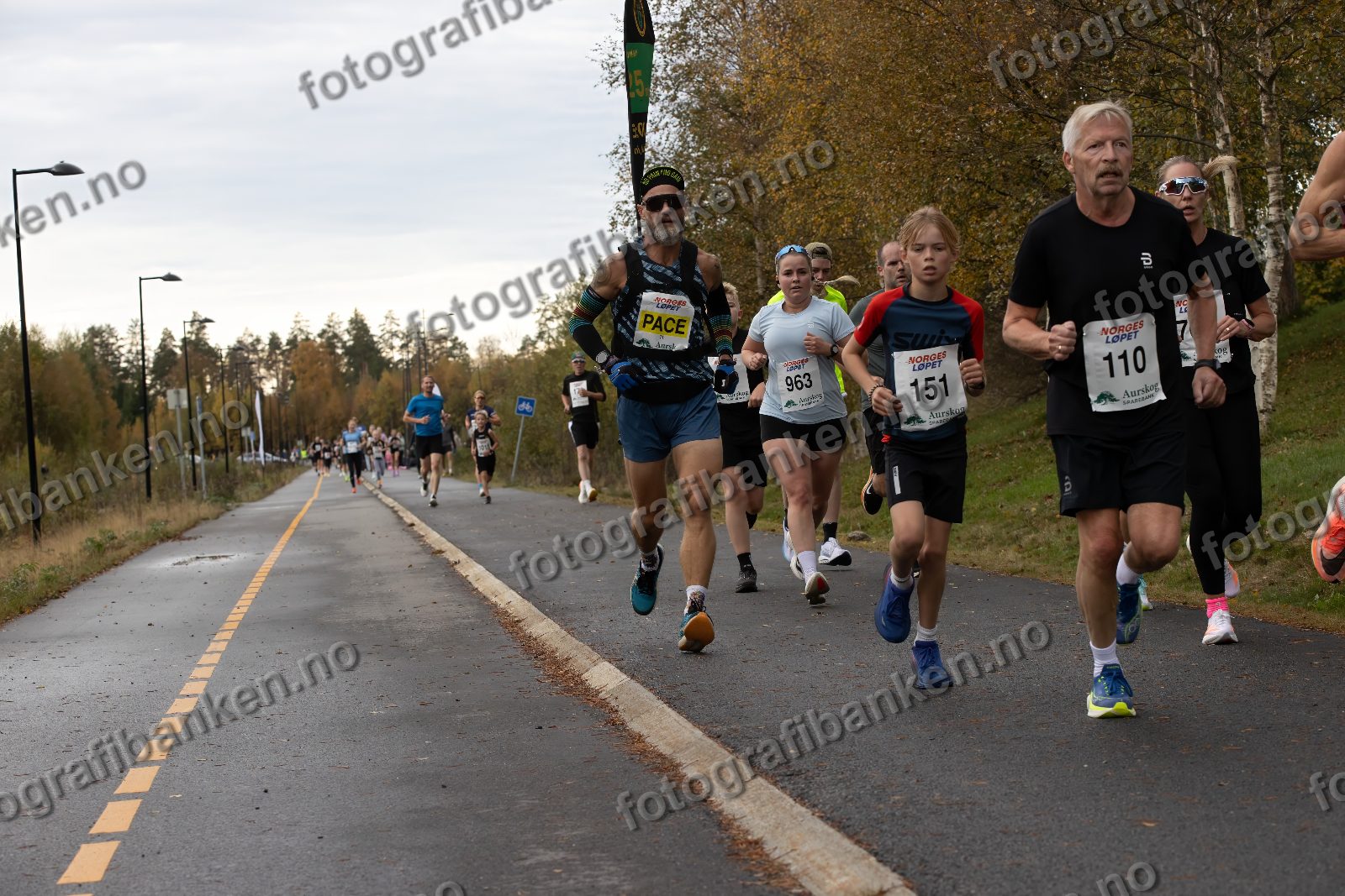 Kim Kolstad (71) · Helle Throndsen (963) · Samuel Stenset (151) · Morten Hansen (110) · Madelen Korsnes (763)