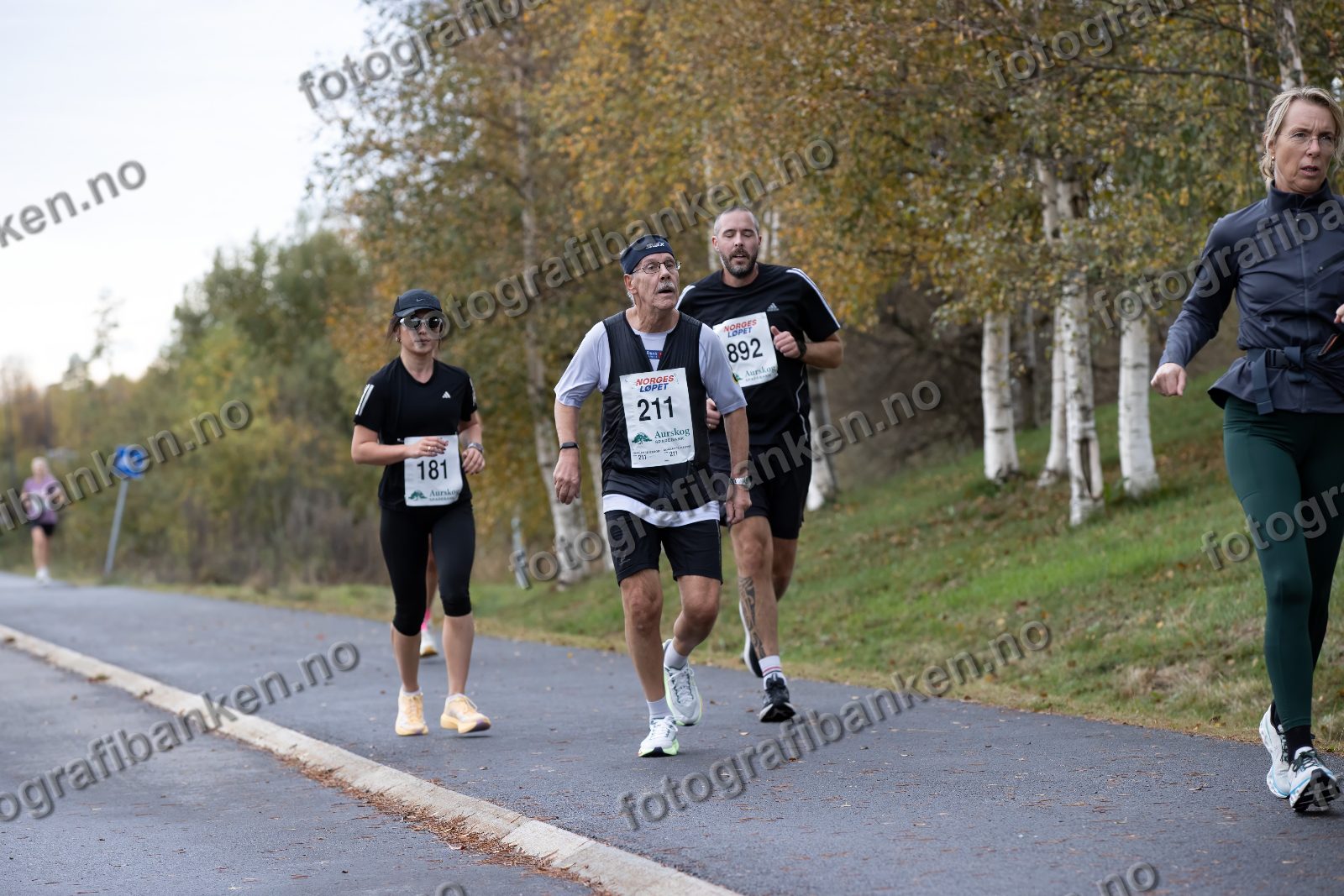 Erik Nilsen (211) · May Berit Olsen (181) · Alexander Albrigtsen (892)