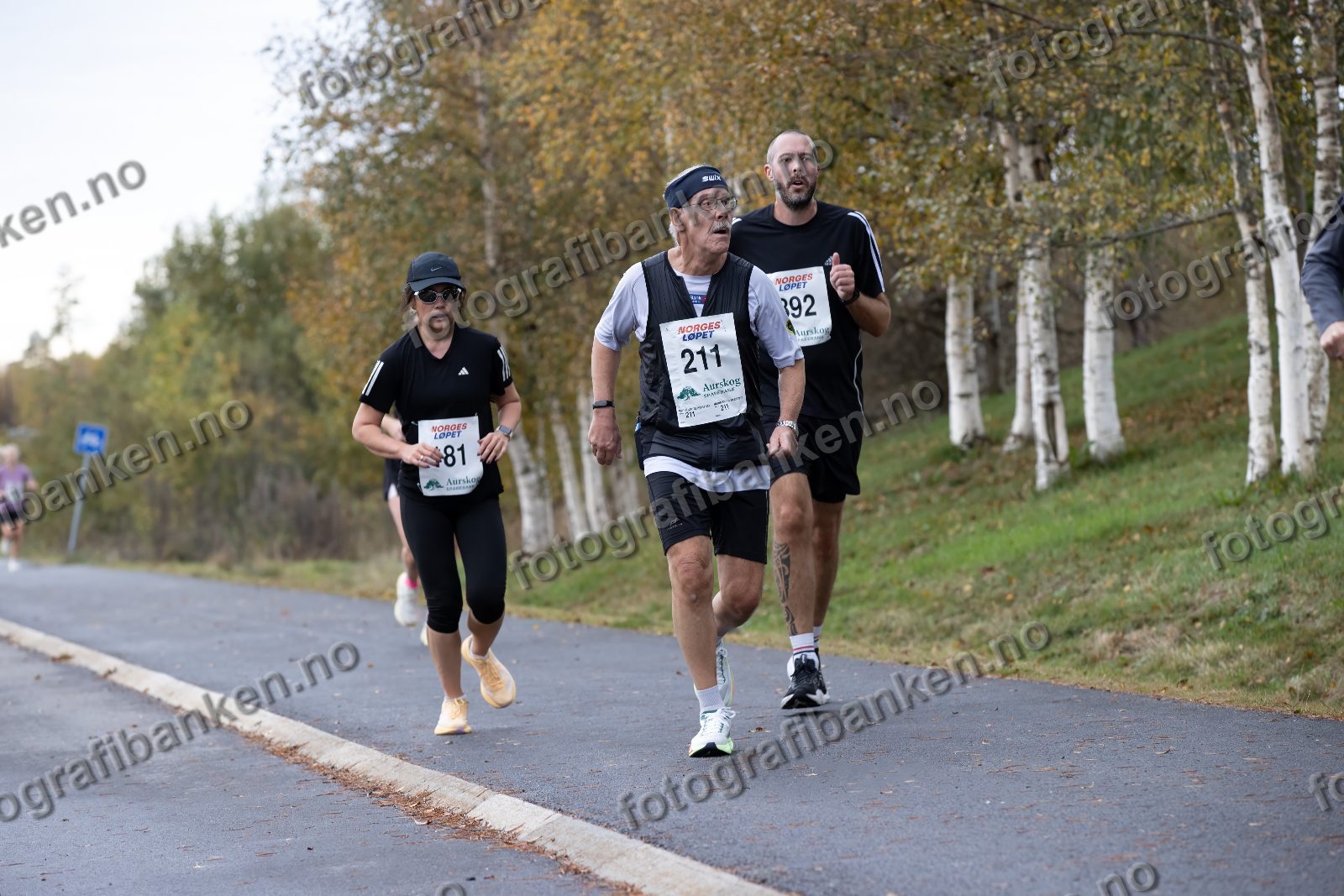 Erik Nilsen (211) · May Berit Olsen (181) · Alexander Albrigtsen (892)