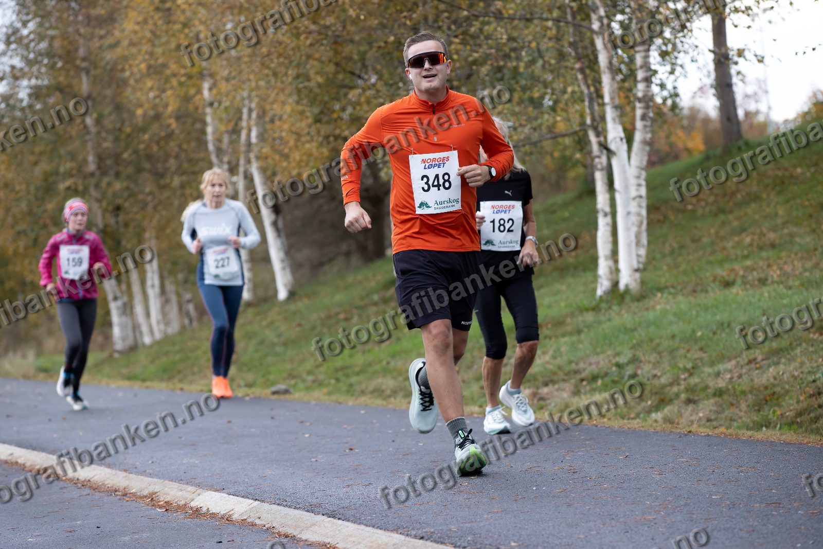 Anders Furulund (348)