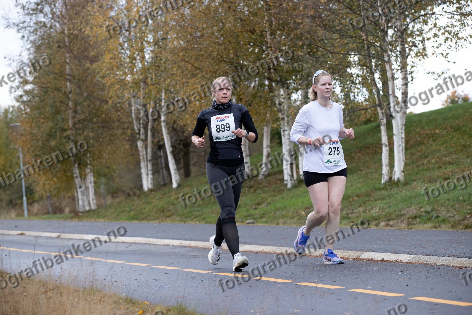 Jane Merete Thøgersen (899) · Marte Roen (275)