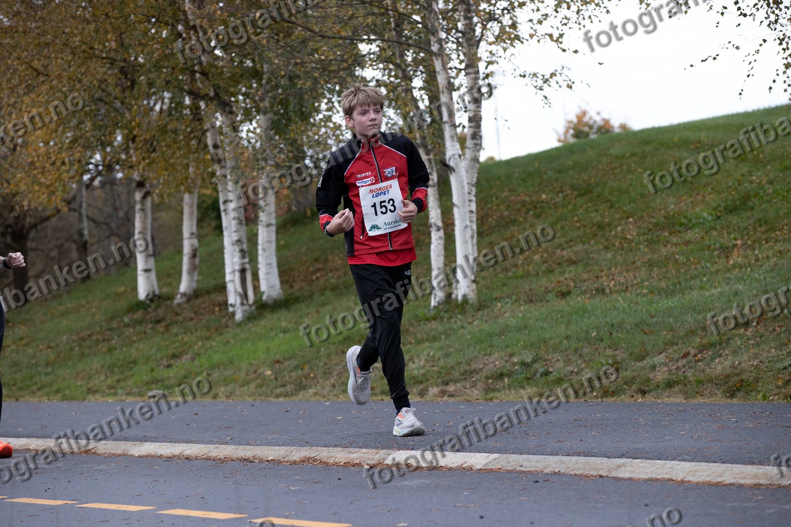 Øyvind Sørli (153)