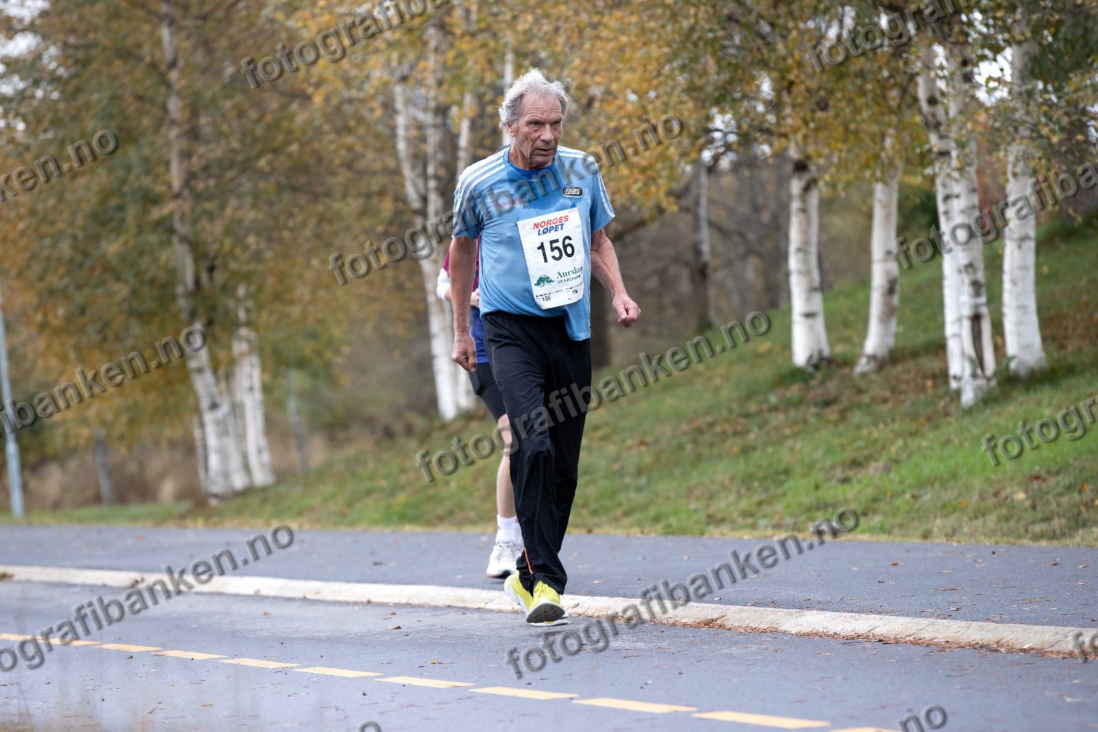Bror Peder Smedsrud (156)