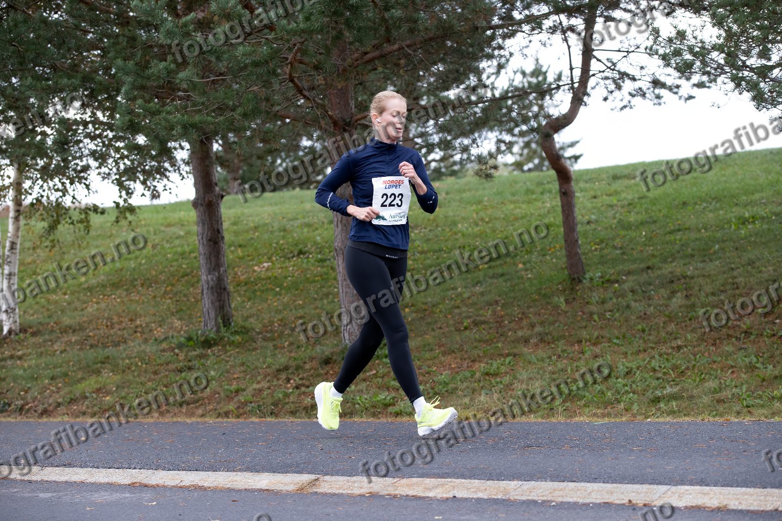 Toini Åberg (223)
