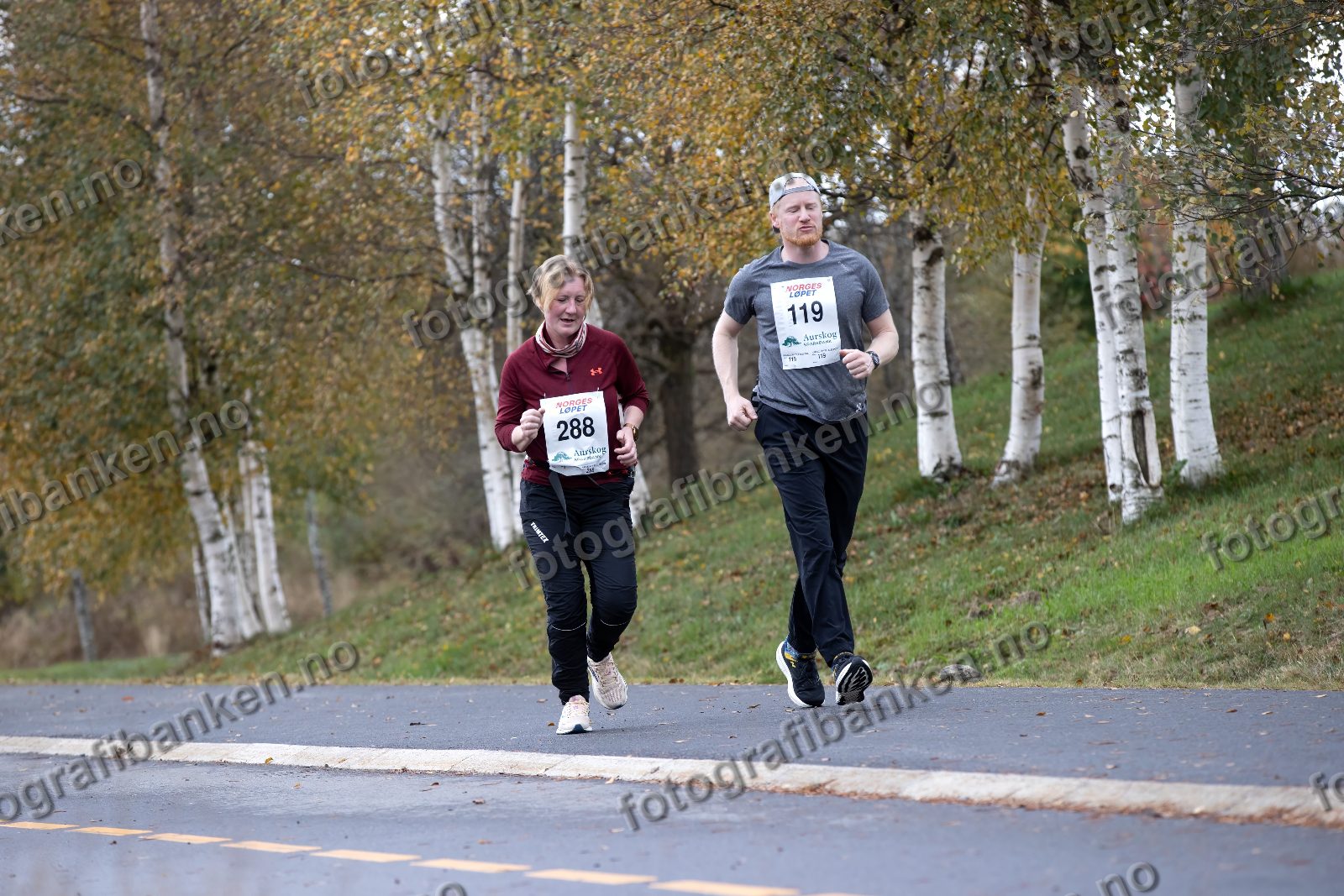 Gro Pedersen Punsvik (288) · Roar Skoglund (119)
