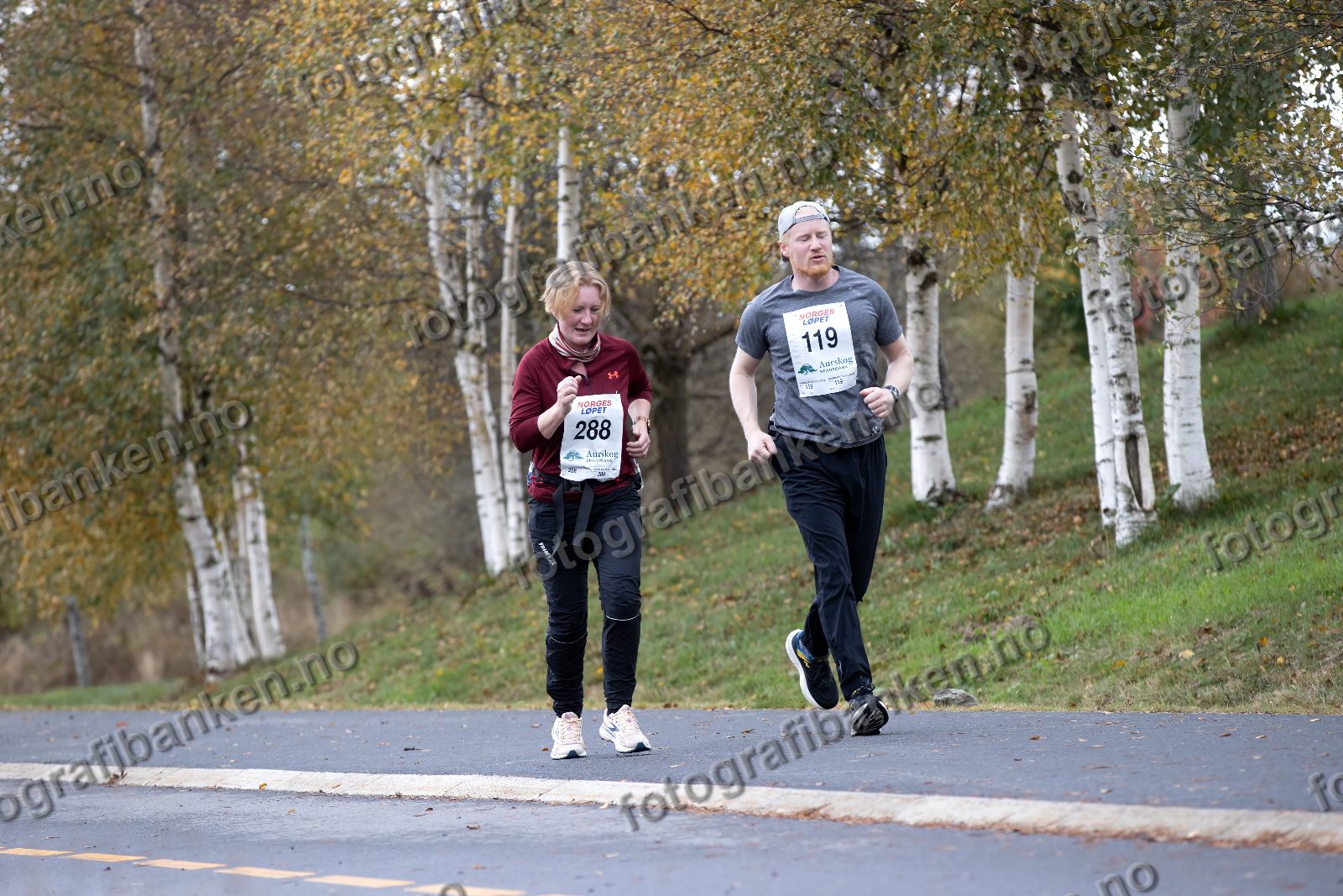 Gro Pedersen Punsvik (288) · Roar Skoglund (119)