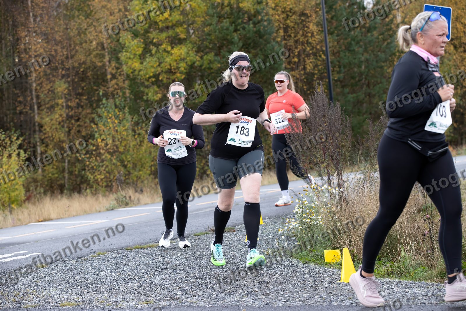 Suzette Damman (183) · Lisa Lindquist (221) · Beate Trøen Pedersen (103)