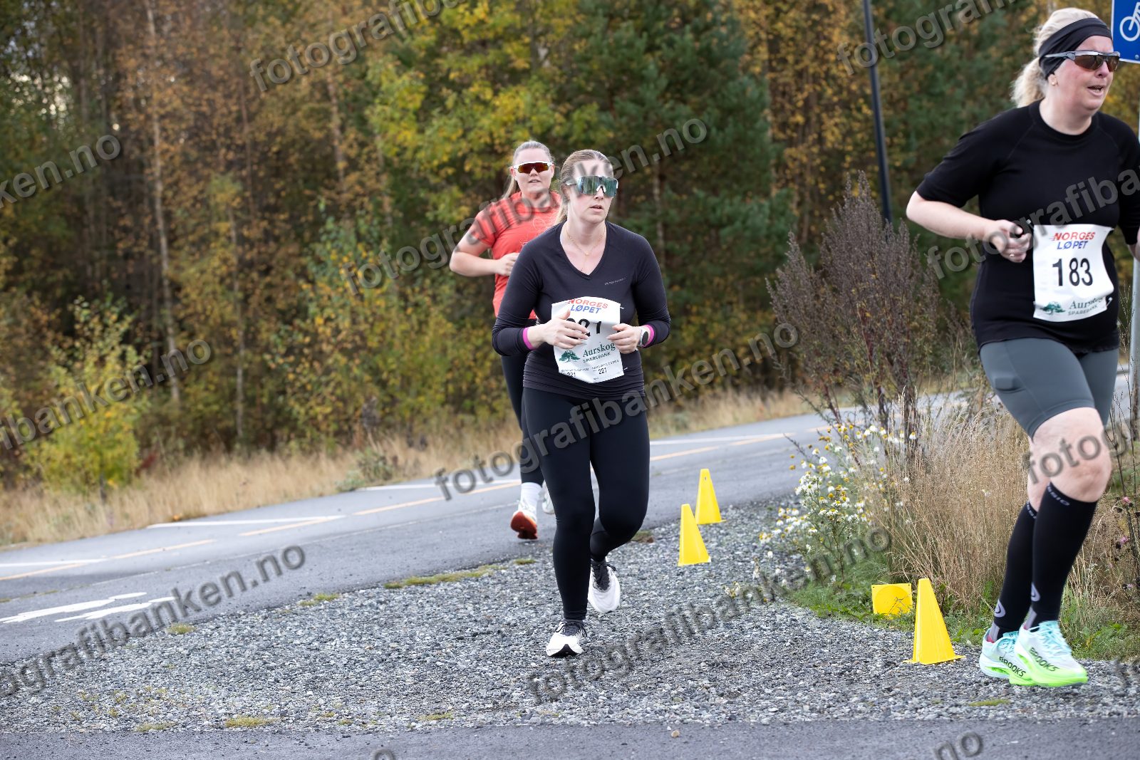 Jeanette Kello (322) · Lisa Lindquist (221) · Suzette Damman (183)