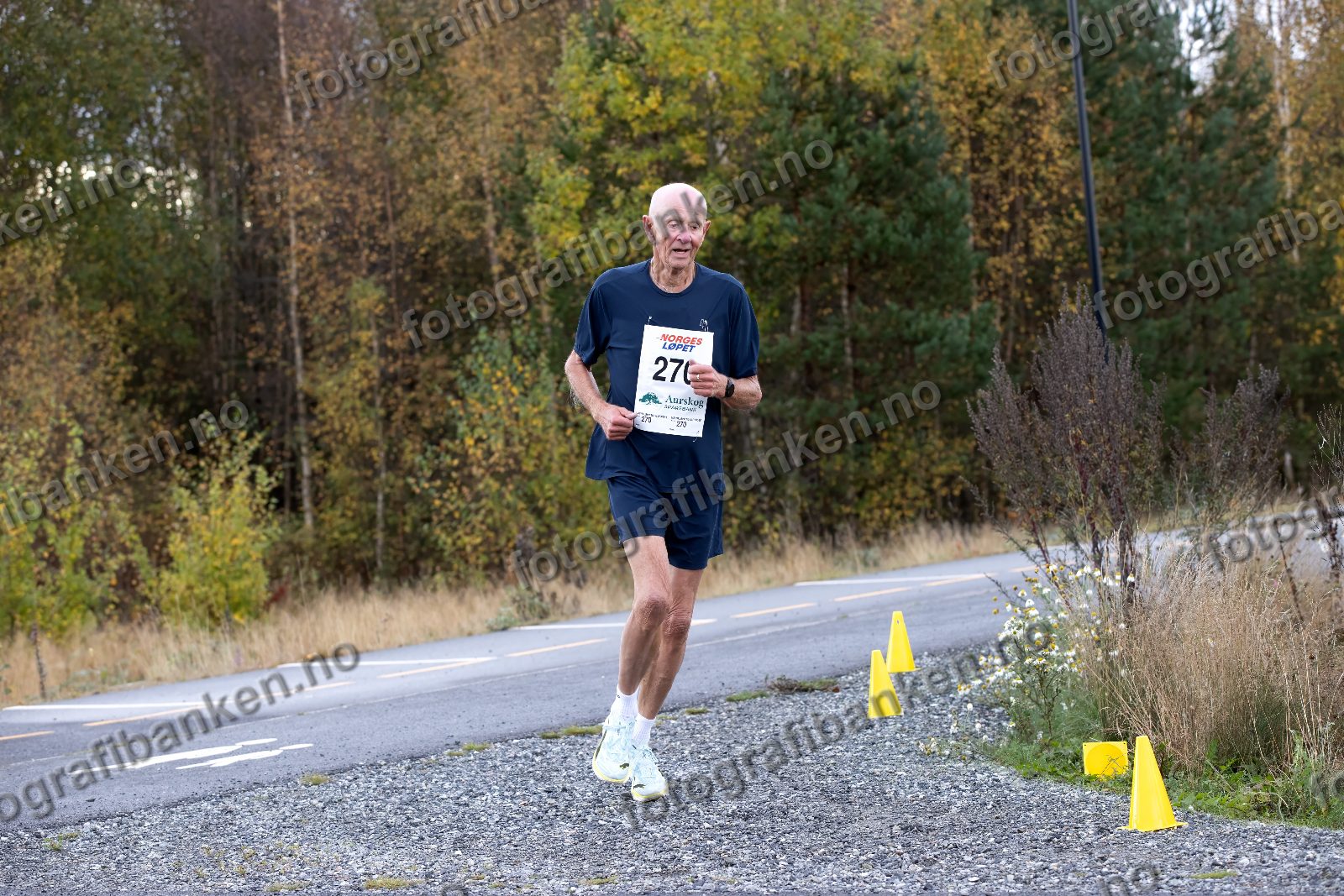 Egil Gustav Jansson (270)