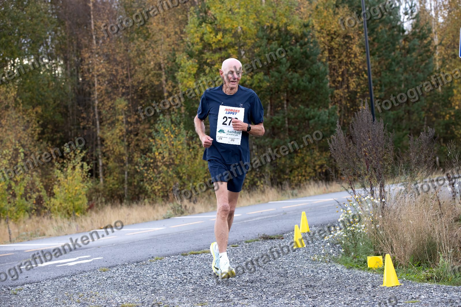 Egil Gustav Jansson (270)