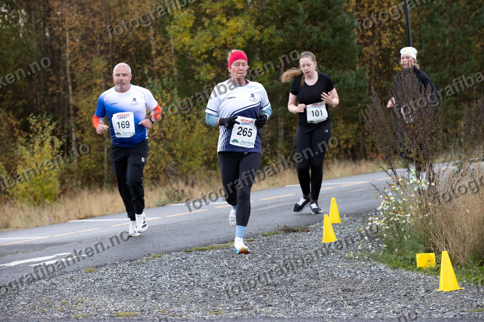 Thomas Erlingsen (169) · Marianne Bekken (265) · Agathe Lødemel (101)