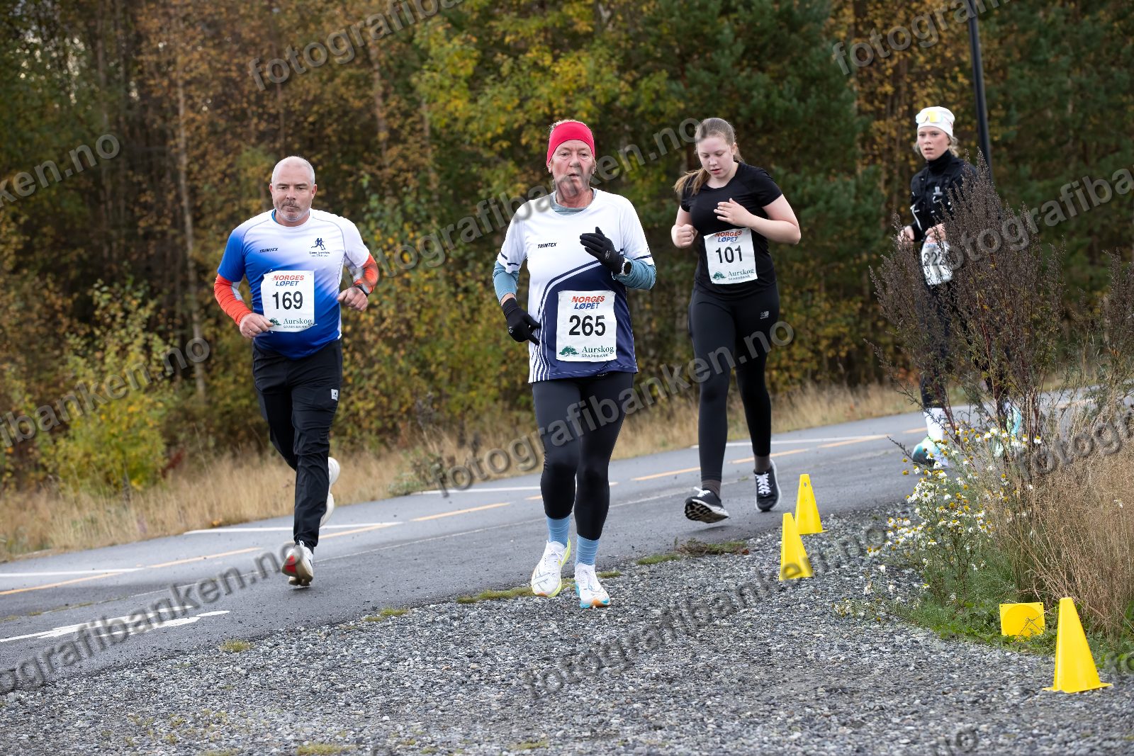 Thomas Erlingsen (169) · Marianne Bekken (265) · Agathe Lødemel (101)