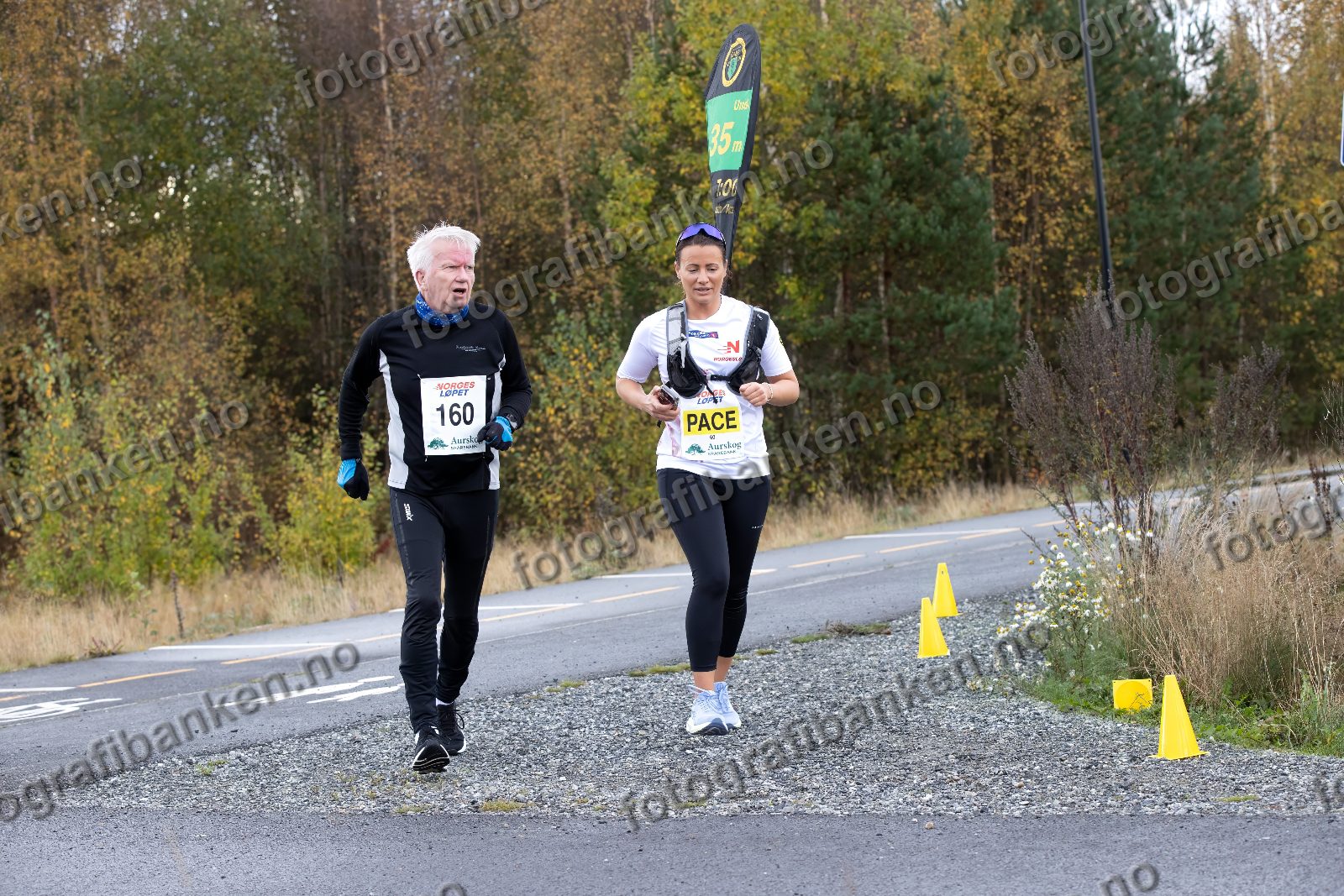 Thor W. Larsen (160) · Marianne Temmen (60)