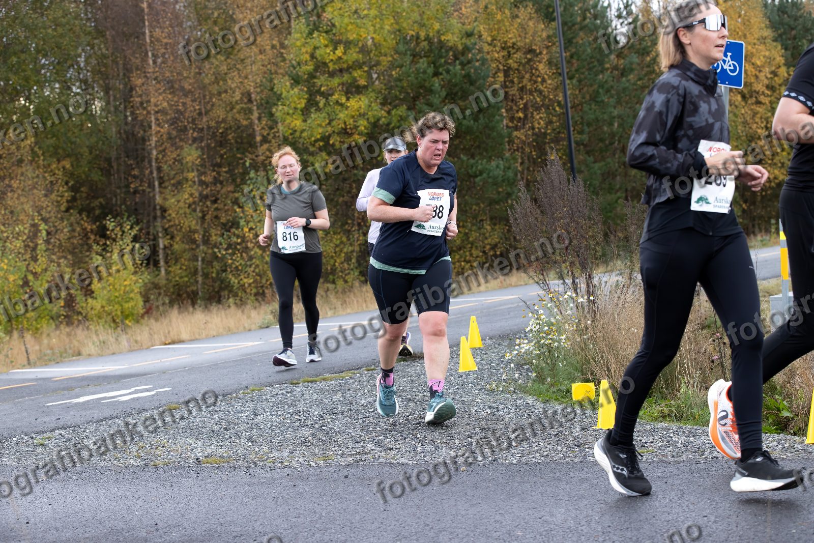 Anne Elisabeth Laingen (788) · Catherine Cecilie Langeteig (816) · Marita Paulsen (269)