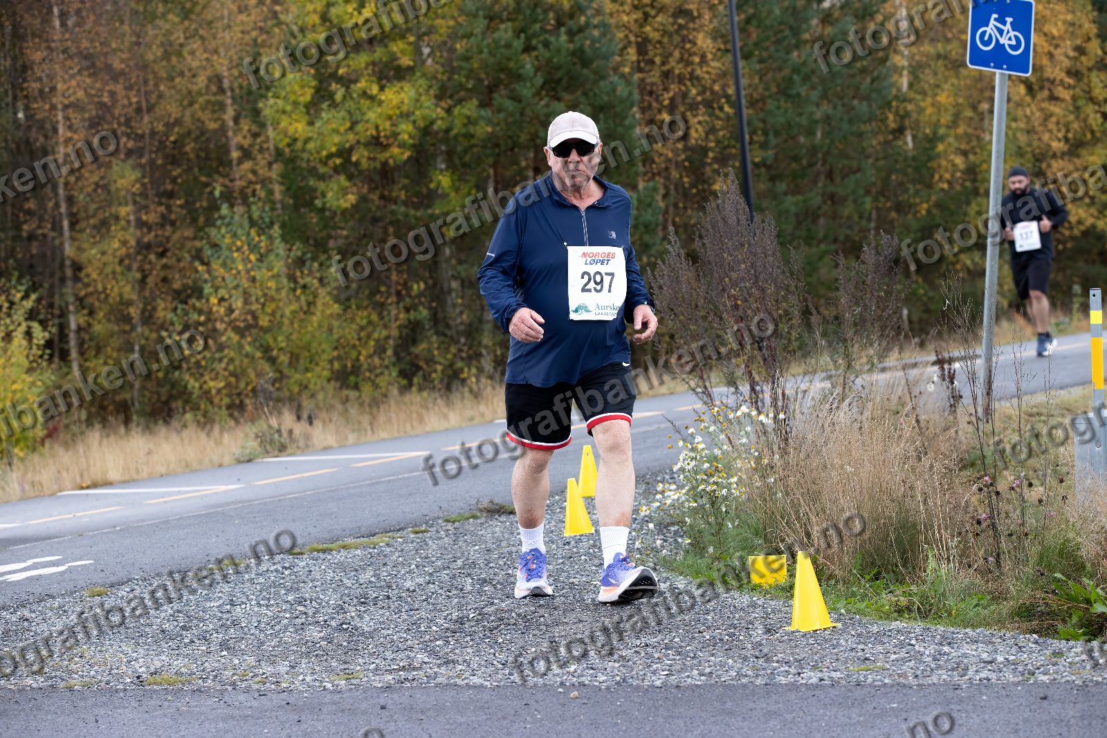 Tor Olsen (297)