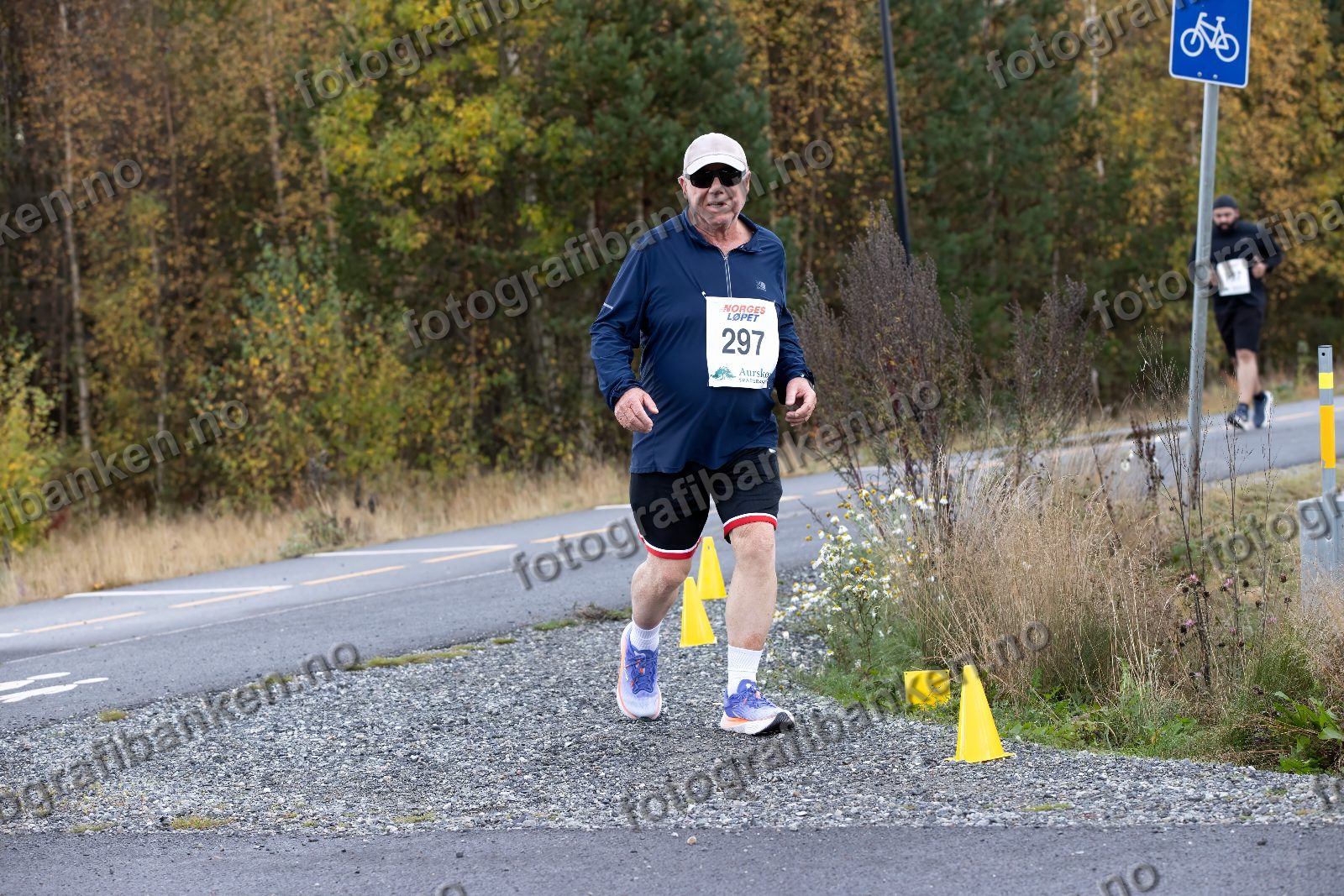 Tor Olsen (297)