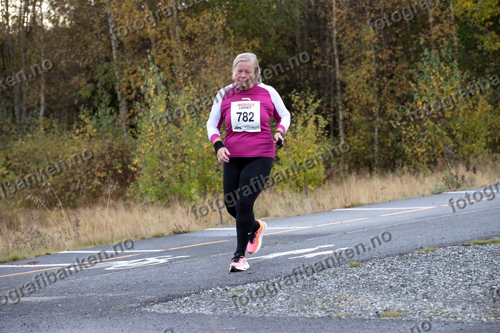 Anne Andersen (782)