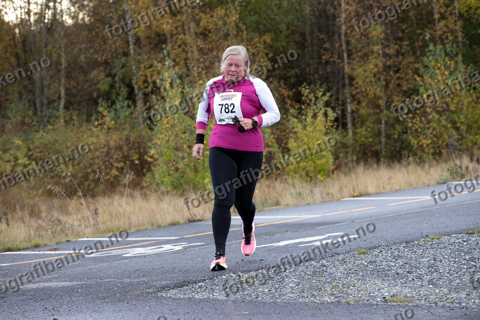 Anne Andersen (782)