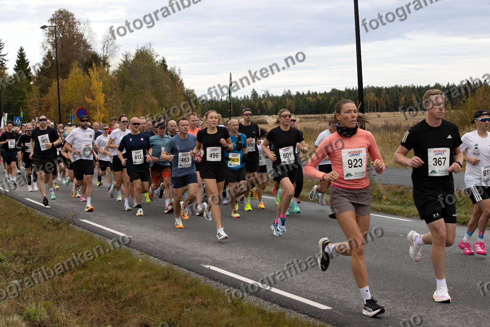 bl.a. Terje Fredriksen (463) · Ingeborg Thingnæs (496) · Ellen Einvik (801) · Oliver Persson (367)