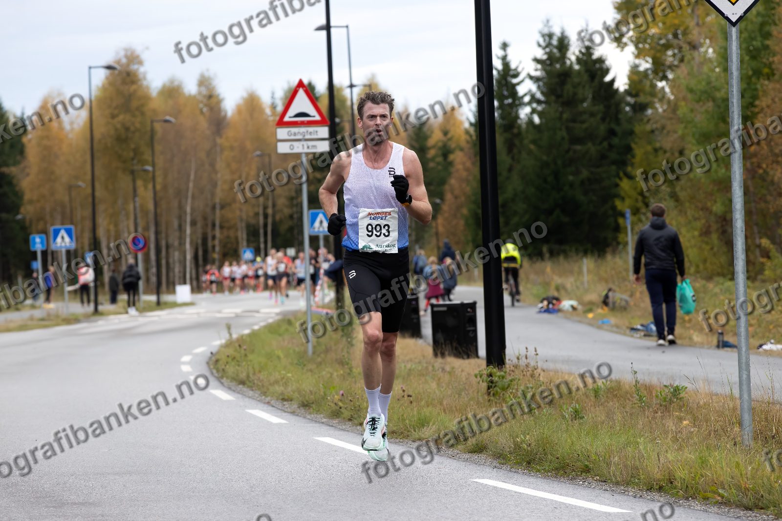 Jarle Wermskog (993)