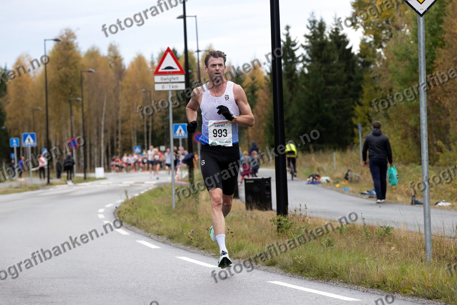 Jarle Wermskog (993)
