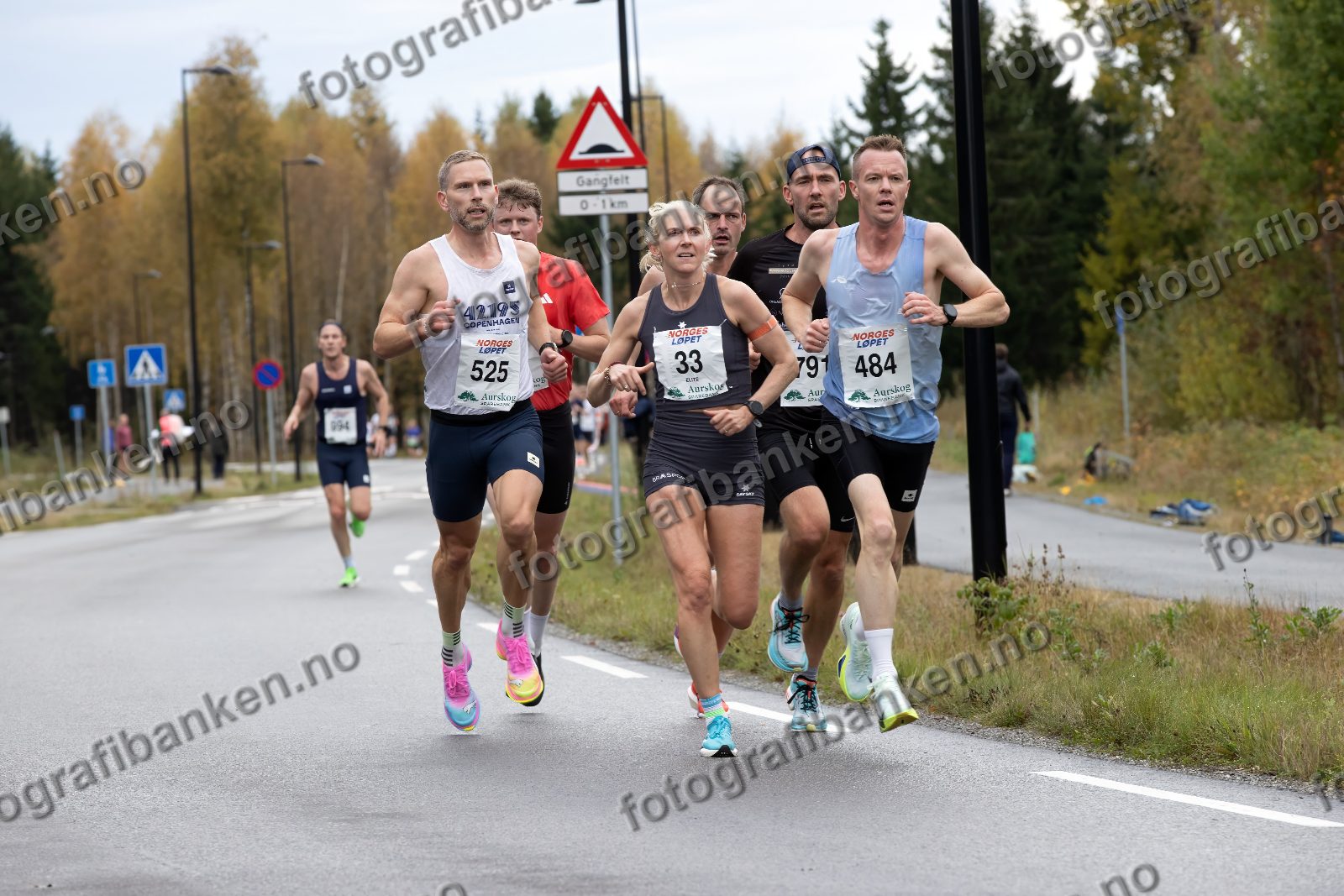 Jørgen Magelssen (525) · Astrid Brathaug Sørset (33) · Martin Gulliksen (484)
